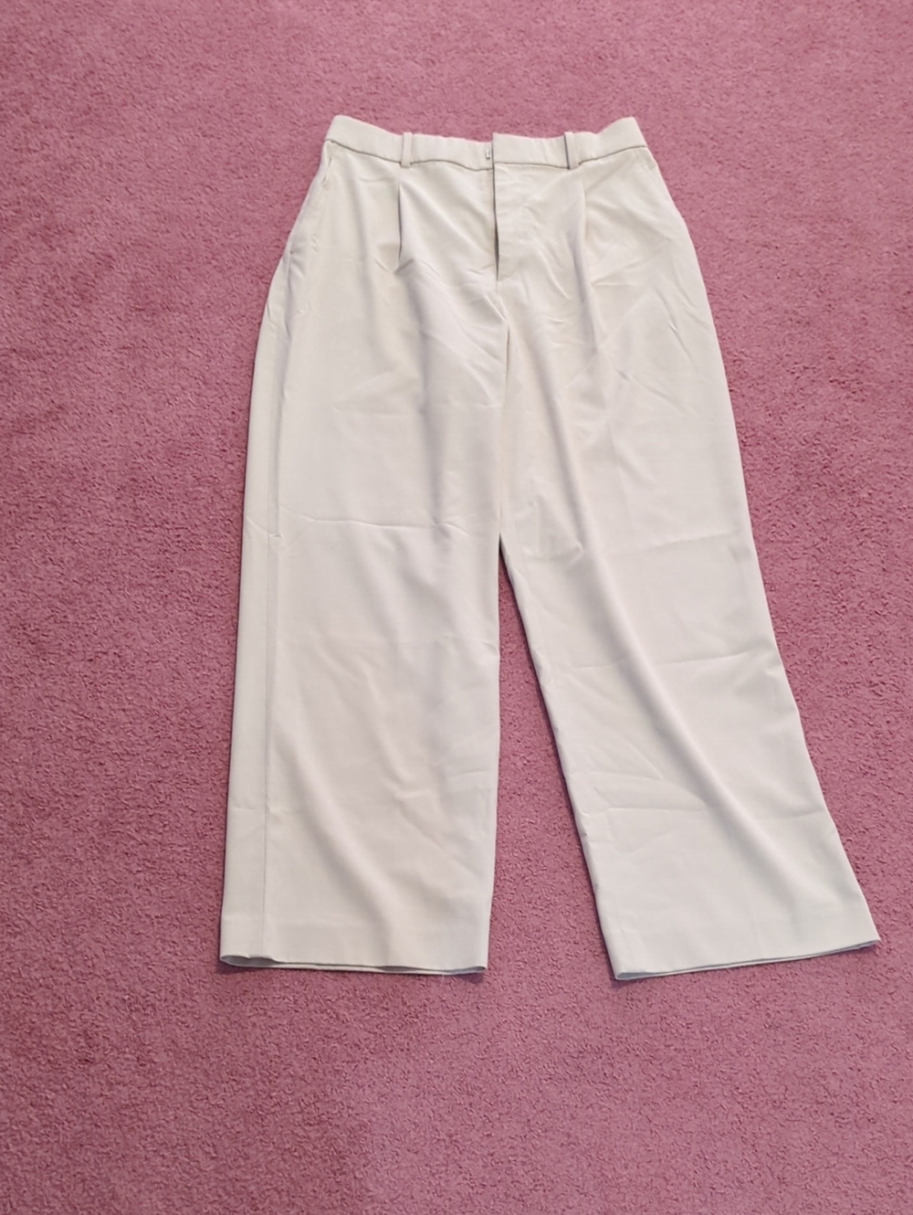 Uniqlo Pants
